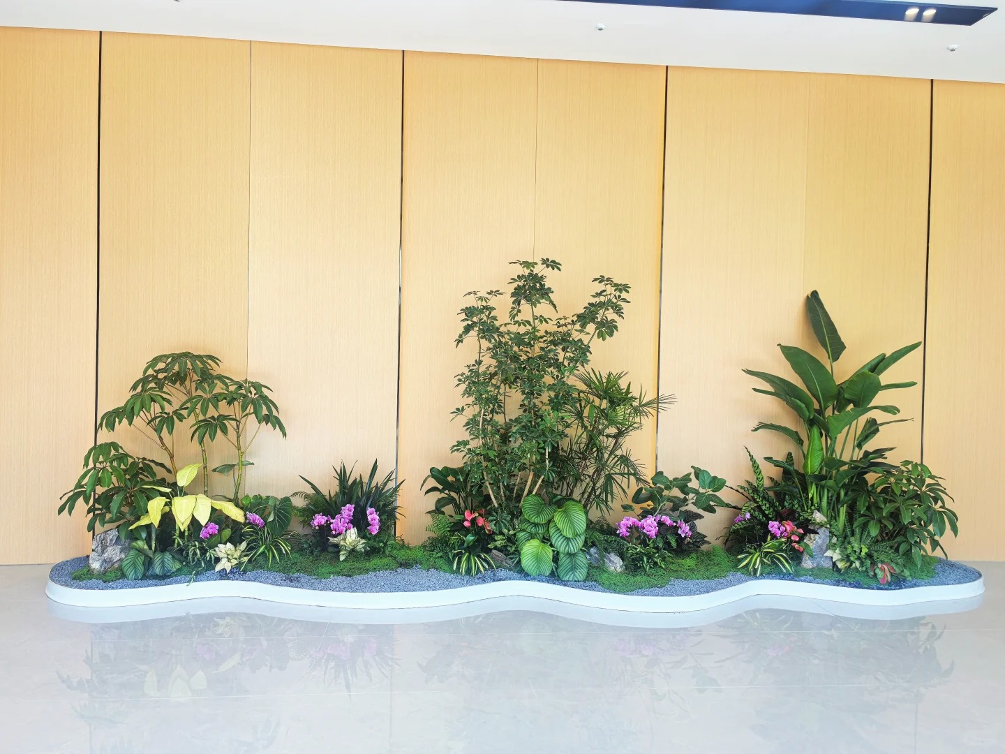 专业植物出租,让宁波余姚空间绿意盎然